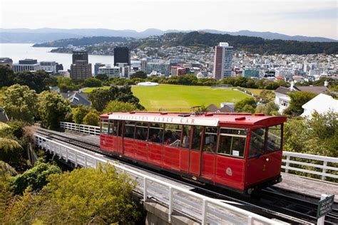 wellington sightseeing tours|Wellington Tours .